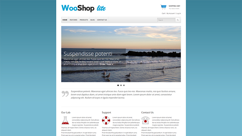 wooshop-lite-wordpress-theme