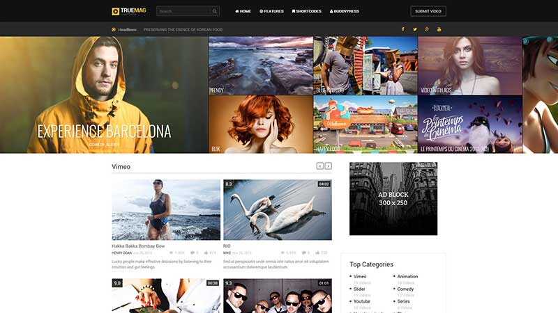 truemag-video-wordpress-theme