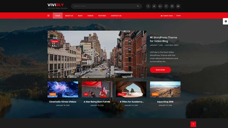 vividly-video-wordpress-theme