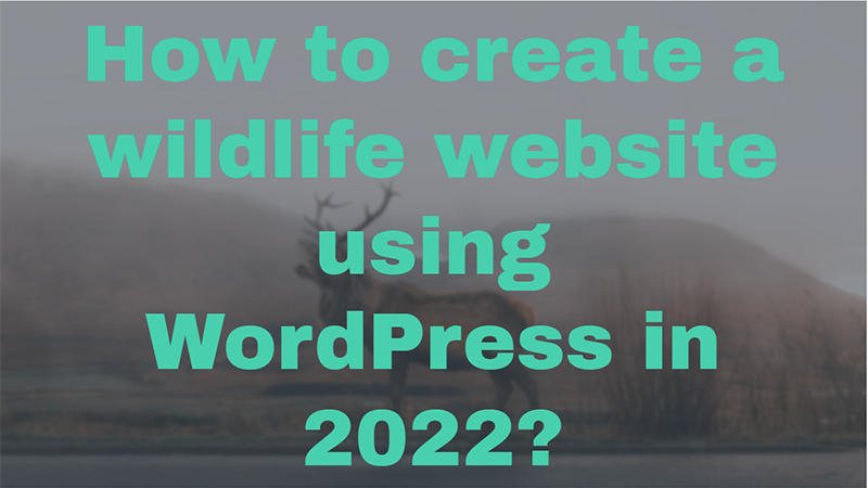 create-a-wildlife-website-using-wordpress