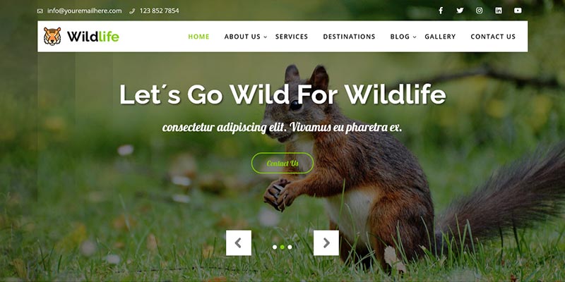 wildlife-wordpress-theme