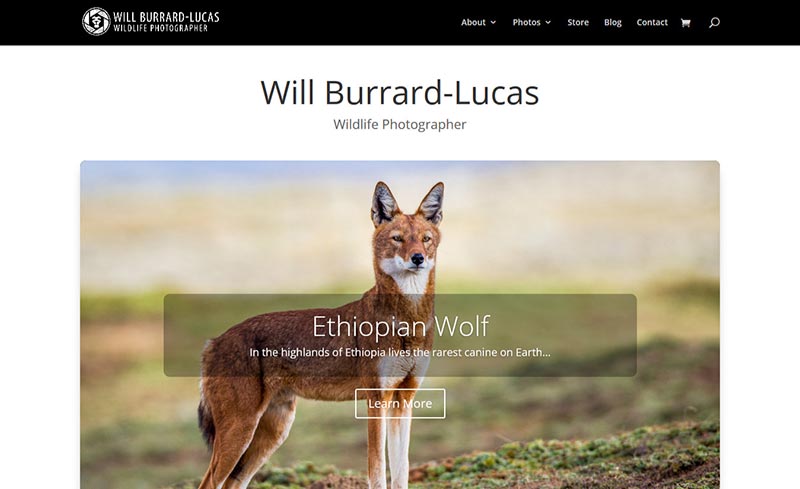 will-Burrard--lucas-wildlife-photographer