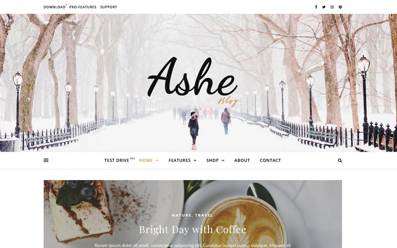 ashe-free-blog-theme