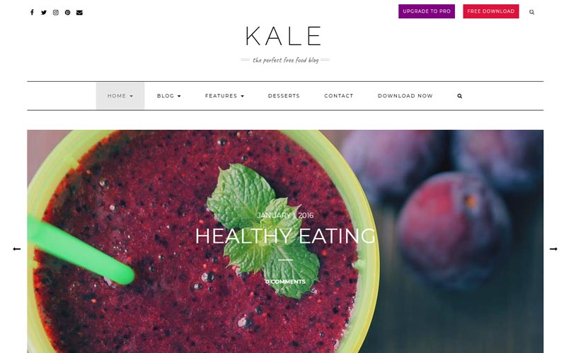 kale-free-theme-for-food-bloggers