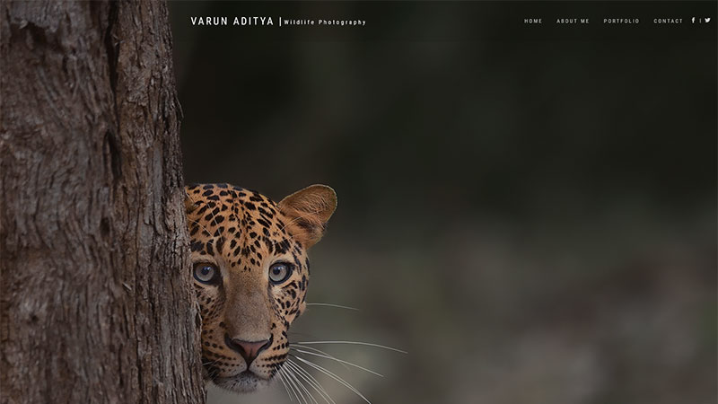 varun-aditya-website