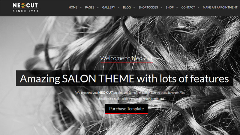 neosalon-hair-salon-wordpress-theme