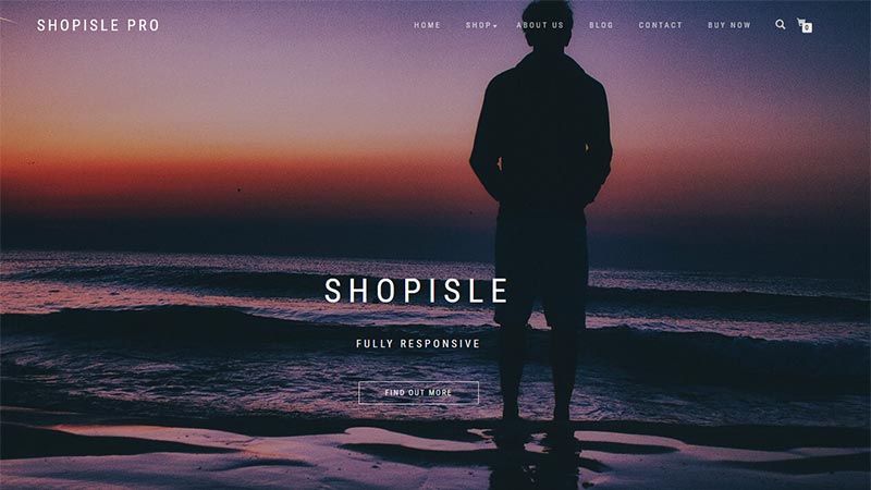 shopisle-pro-wordpress-theme-for-ecommerce