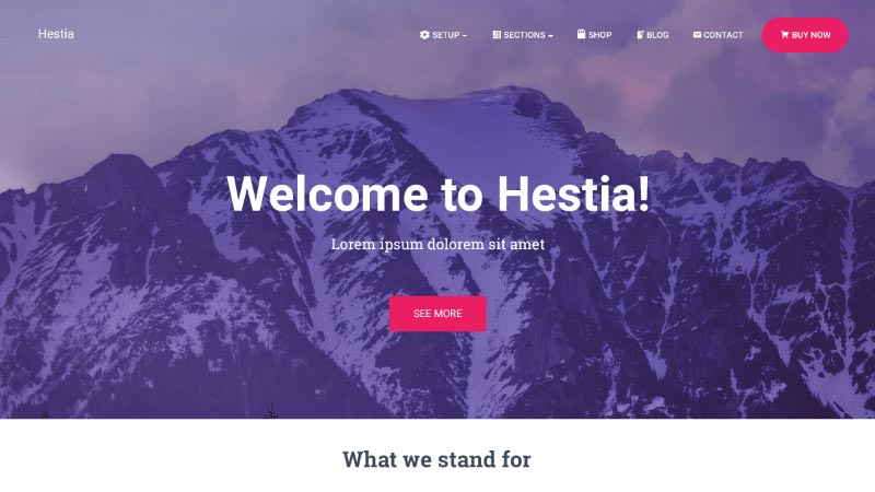 Hestia-PRO---Modern-Material-Design-Theme