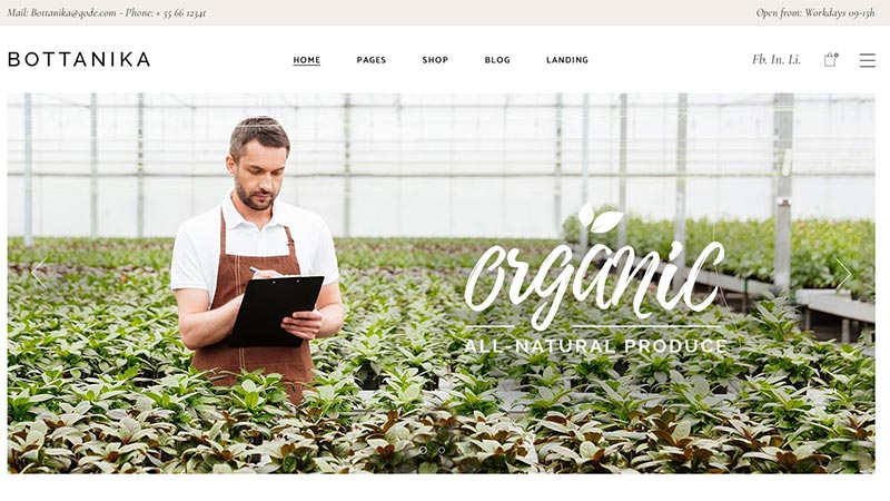 organic-farm-products-wordpress-theme