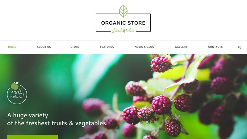 organic-store-wordpress-food-theme