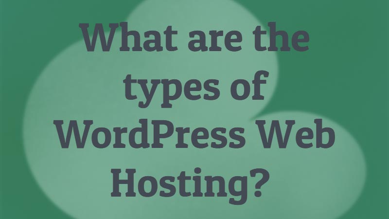 What-are-the-types-of-WordPress-Web-Hosting