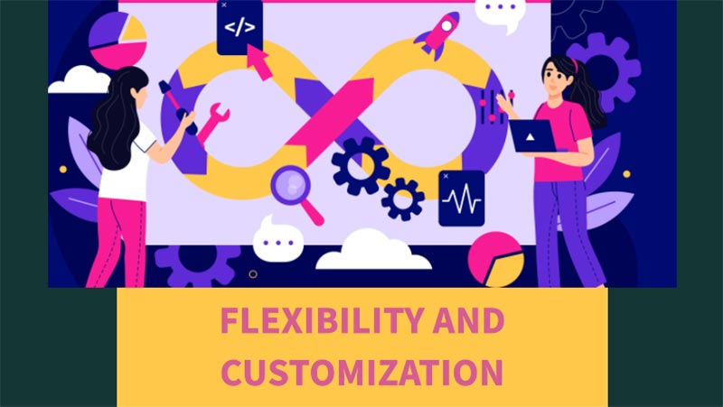 Flexibility-and-Customization-in-wordpress-blogs