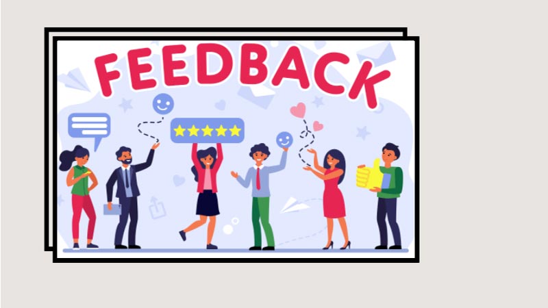 importance-of-feedback-and-improvement-in-wordpress-blogs