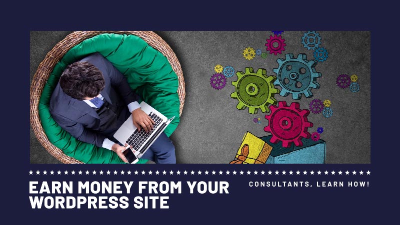how-consultants-Earn-Money-from-Your-WordPress-Site